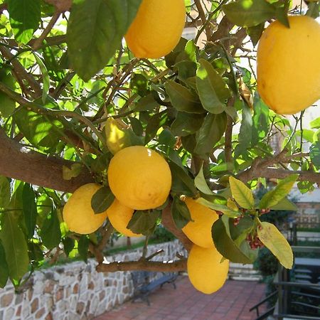 Appartamento El Limonero Fuengirola Esterno foto